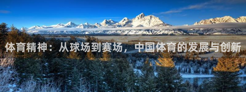 意昂体育4平台是正规平台吗知乎：体育精神：从球场到赛